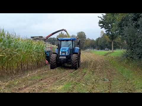 Maisernte 2021🌽Mit Mengele SF 6000 und New holland Traktoren