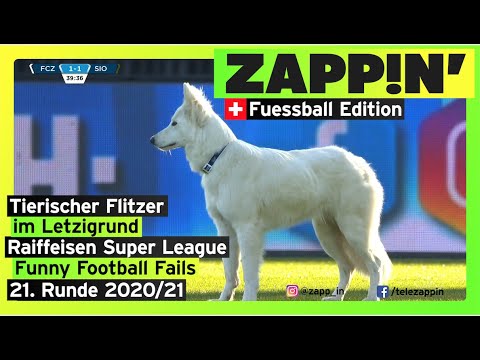🇨🇭⚽  Tierischer Flitzer beim FC Zürich 🇨🇭⚽🇨🇭 Zappin' Fussball Zämefassig - 21. Spieltag ⚽🇨🇭
