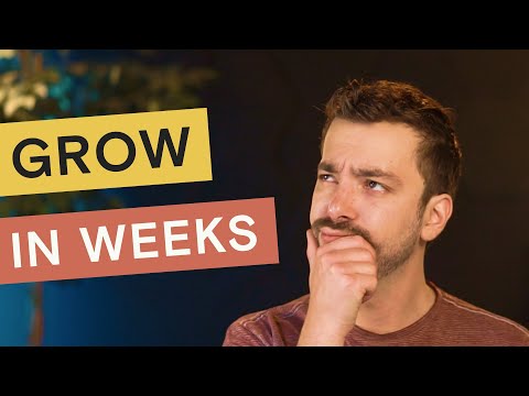 How does Teachable work? (three keys to success as a course creator)