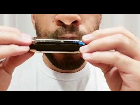 Gaita Harmônica Prata 10 Furos Afinação Dó (c) Instrumento