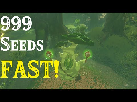 New FASTEST Korok Seeds Glitch: 999 Seeds in only 10 Minutes TUTORIAL in Breath of the Wild