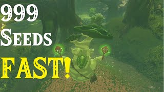 New FASTEST Korok Seeds Glitch: 999 Seeds in only 10 Minutes TUTORIAL in Breath of the Wild