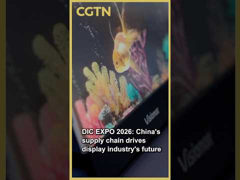 DIC EXPO 2026: China's supply chain drives display industry's future