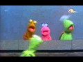 Sesamstraat Kermit Telt Zes Kevertjes