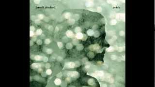 Benoît Pioulard - 01 - La Guerre de Sept Ans.avi