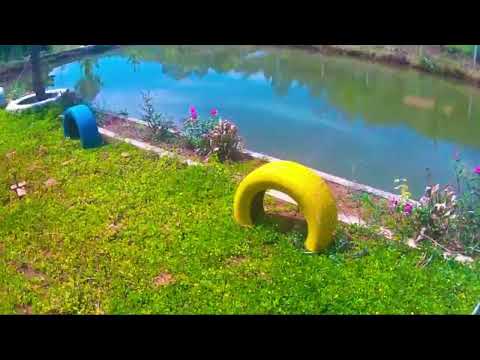 Farm nghỉ dưỡng giá ngộp tại trung tâm thành phố Gia Nghĩa tỉnh Đắk Nông