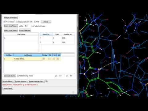 Protein Preparation - Quick Example 1A9U