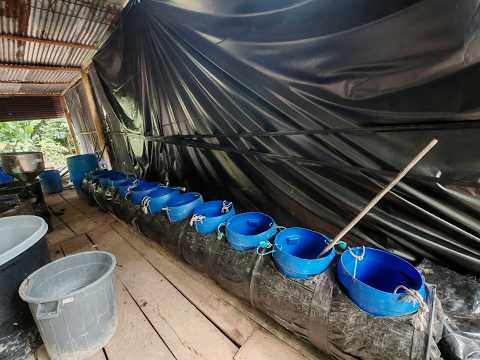 EJÉRCITO INCAUTÓ EN NORTE DE SANTANDER 460 KILOS DE COCAÍNA