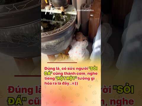 Mài răng xíu thôi gì căng  #funnyvideo #reviewvui #funyshorts #funny #haihuoc #giaitri #videoshort