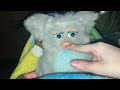 My 2005 Furby Need Eat Food