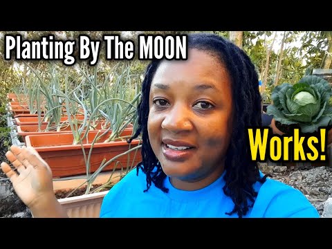 Plant By The MOON! What Days To Plant On In December 2025! The Only Way Our Ancestors Planted 