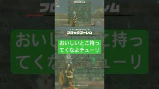 初のブロックゴーレム戦でおいしいとこ持ってかれるリンク『ゼルダの伝説ティアーズオブキングダム』The Legends Of ZELDA Tears Of Kingdom