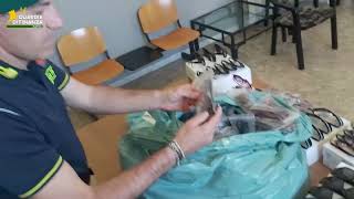 scacco-al-mercato-del-falso-sequestrati-380mila-prodotti-a-rischio