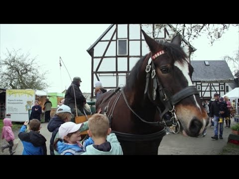 Bauernmarkt in Niederfrohna