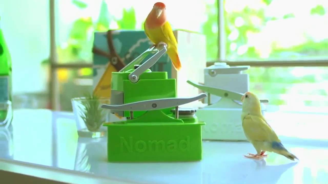Nomad Espresso Machine // Luminescent Green video thumbnail