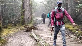 preview picture of video 'Dzongri-La Expedition (West Sikkim) Team-'Råskå Boys' October 2018. in Anglo-Santali language.'