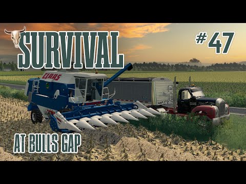 The Corn is Ready Again!  - Survival at Bulls Gap - Episode 47 - FS19