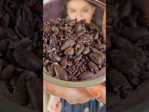 Guess how we get chocolate out of these beans 🫘 #chocolate #diy #homemade #chocolates #ytshorts #yt