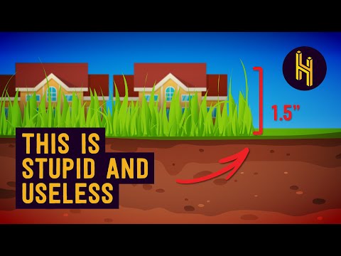 Why American Lawns All Look The Same