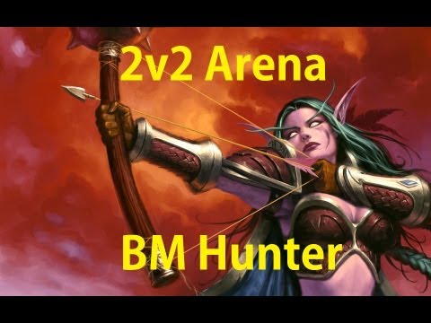 2v2 Arena Carry - BM Hunter PvP - World Of Warcraft - Mist Of Pandaria