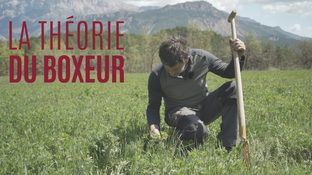 BANDE ANNONCE La Théorie du Boxeur