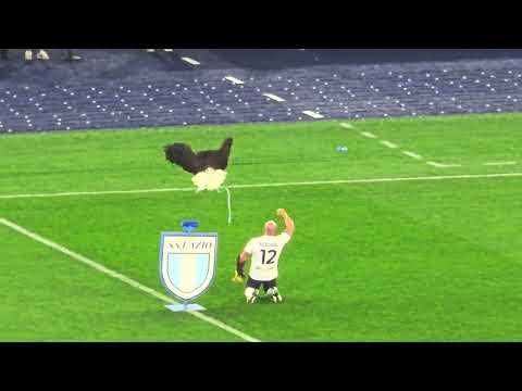 l'ultimo volo di Olimpia allo stadio Olimpico 🦅