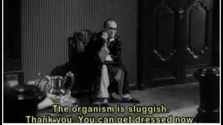 pavement - perfume-v