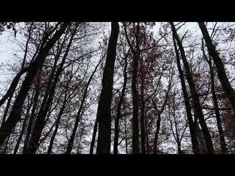 Visit Zlin, Czech Republic (Lesopark Jure Zlin)