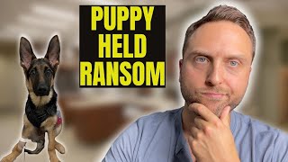 Puppy Held Ransom By A Vet? (no)