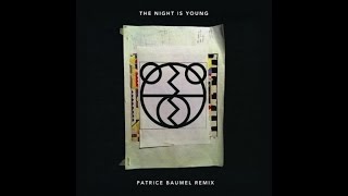 The 2 Bears - The Night Is Young (Patrice Baumel Dark Upon Us Rework)
