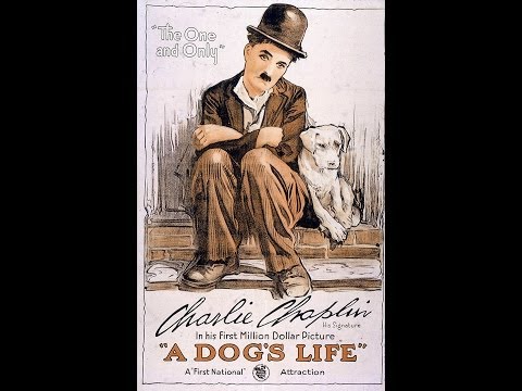 Charlie Chaplin - A Dog's Life (Une vie de chien) - Piano Cover