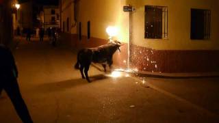 preview picture of video 'Bull run in Fanzara Spain (the traditional way)'