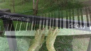 歌とジャズピアノ　September in the rain