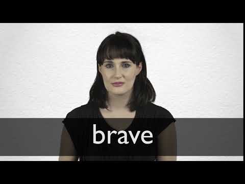 Another Word For Brave: 18 Different Synonyms For BRAVE In English