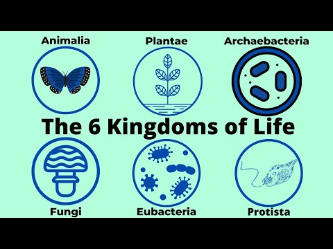 Basic Taxonomy-6 Kingdoms of Life-Classification
