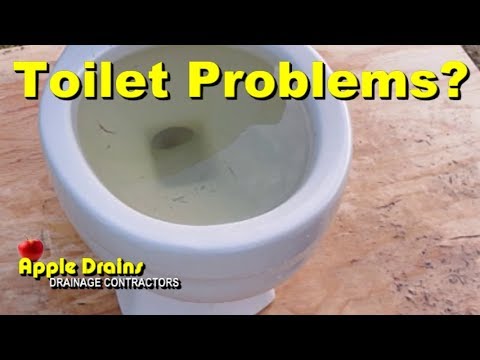 image-How to unclog overflowing toilet?