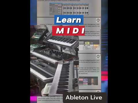 Abelton Live