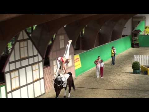 17.06.2012 -- CVI Krumke -- Juniorteam Hilden -- Kür -- 2. Umlauf