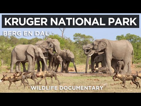 Krüger Nationalpark – Berg und Tal