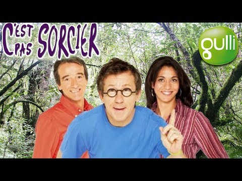 Bande-annonce : C'est pas sorcier
