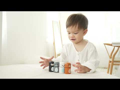 Slide 7 - Arctic Animal Matching (video)