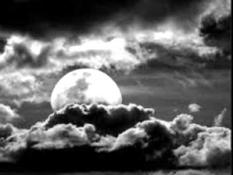 mushogitano - la luna de parrita