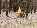 Hunter in Chernobyl (Чернобыль, Припять, ЧАЭС) как выглядит ...