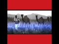 Abdo Lencho Hot Music Oromo RYYaa 206