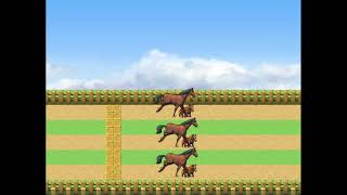 RMVXA - Horse Racing - With Pictures