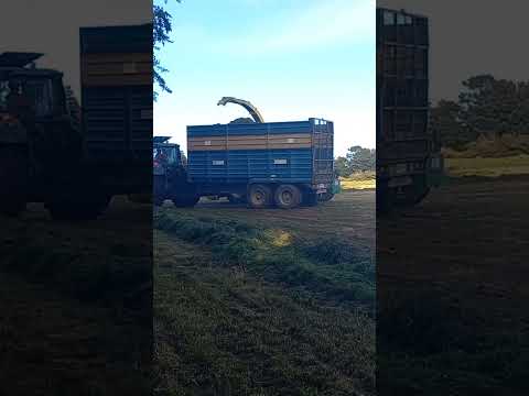 Jerry Moynihan agri at silage 2023