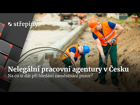Nelegální pracovní agentury: Žádná výplata, naskakující dluhy | Střepiny