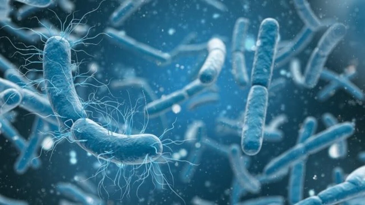 The 9 Best Documentaries About Biology
