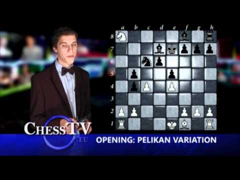 Opening School - Pelikan part 2 - Chess