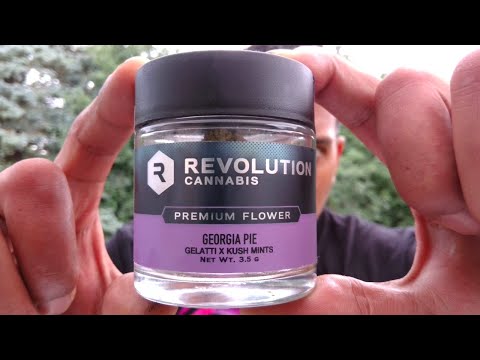 Strain Review: GEORGIA PIE by REVOLUTION (ILLINOIS)